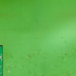 Pellet Therapy Insights